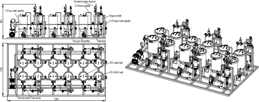Multiple Degas Module System-cbt.png